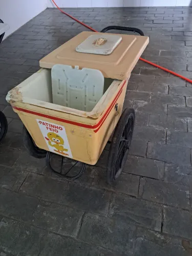 Carrinhos para venda de picolés