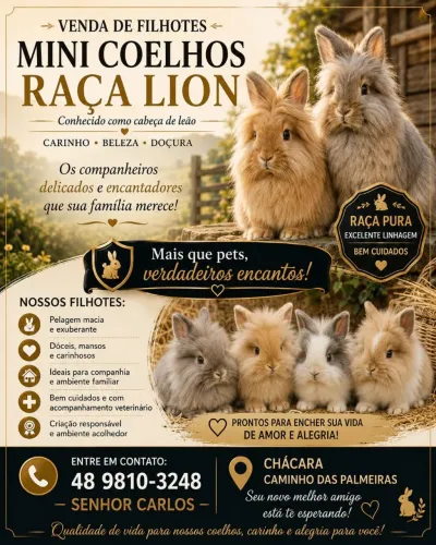 Mini Coelhos lion