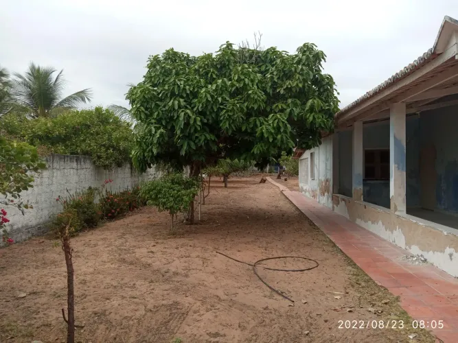 Excelente chácara proximo a Canoa Quebrada 