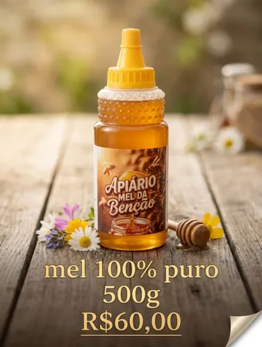Mel de abelha 500g
