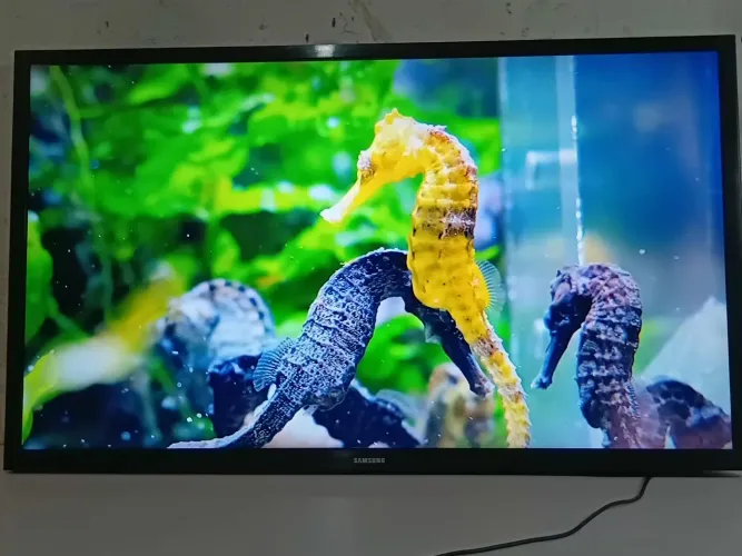 Smart t samsung 32 polegadas