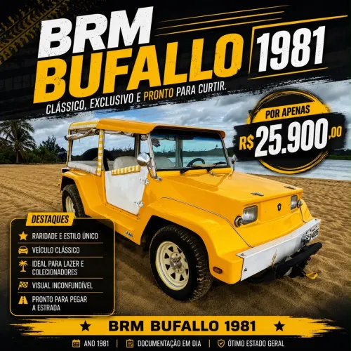 BRM Buggy /m-8/m-8 Long 1.6 2022