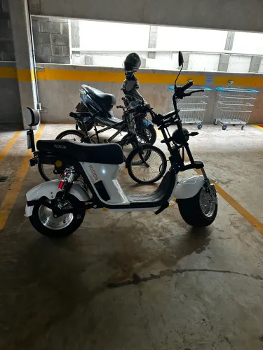 Foston x12 max  elétrica 