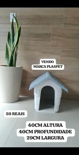 CASINHA DE CACHORRO