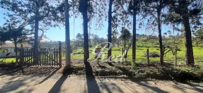 Terreno à venda, 9500 m² por R$ 1.590.000,00 - Chácaras Ceres - Suzano/SP