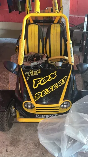 Mini bug fox desert