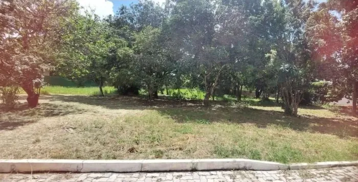 Lote Altiplano Leste