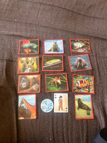 Lote figurinhas Discovery Channel, Card Pokémon e Goku