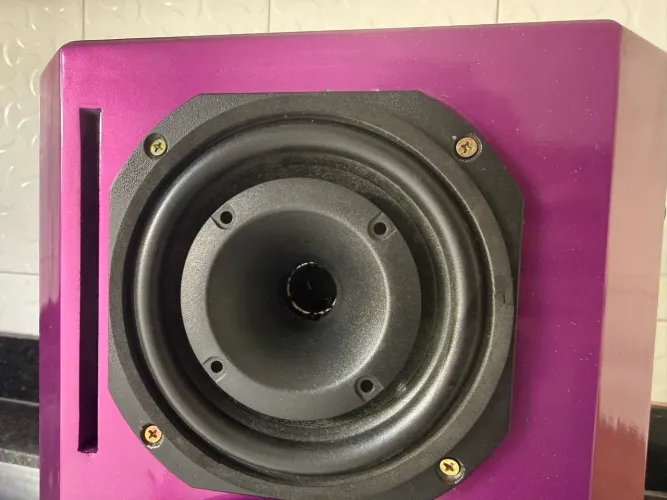 Alto falante de 6 Triton MBL