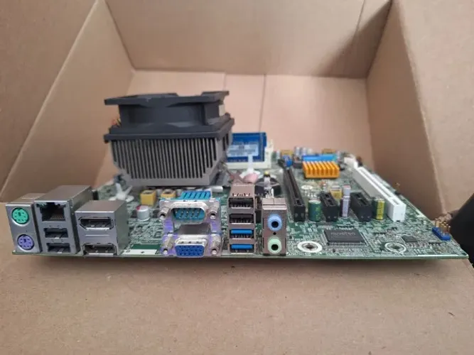 placa mae hp elitedesk