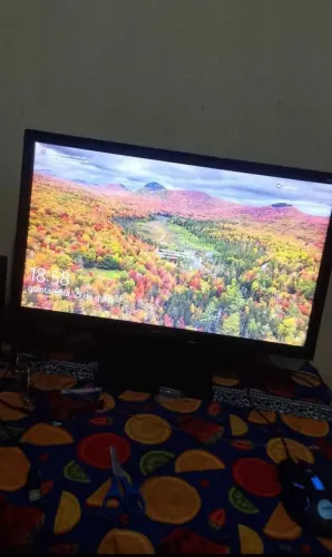 Monitor 