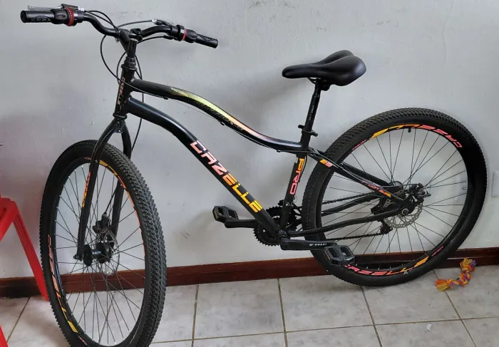 Bicicleta Aro 29