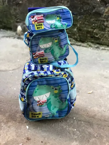 Bolsa usada seminova