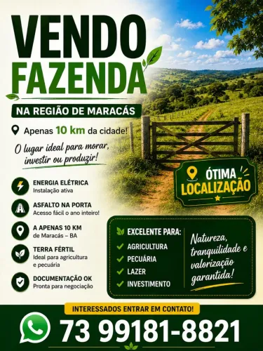Fazenda na Região de Maracás - BA026 - Sentido Planaltino - Asfalto na porta