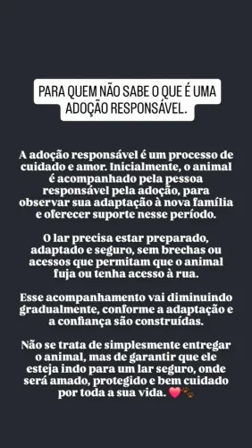 ADOÇÃO RESPONSÁVEL