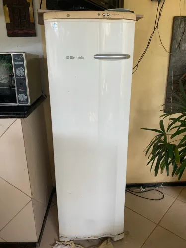 Freezer vertical
