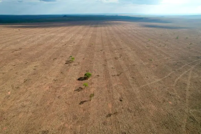 Arrendo fazenda 3.200 hectares 01 ano de carência