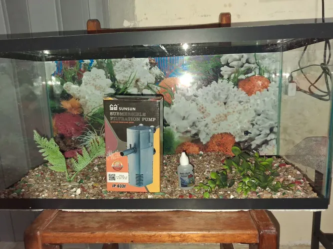 AQUÁRIO DE 50 LITROS