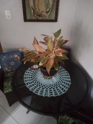 Vendo jogo de mesa de jantar