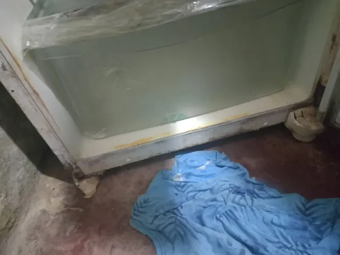 Geladeira