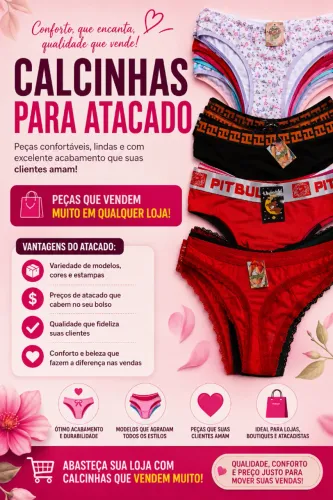 KIT ( 154 unidades) Calcinhas variadas venda  atacado