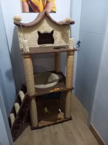 Casinha para gato