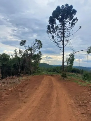 Fazenda/Chácara 