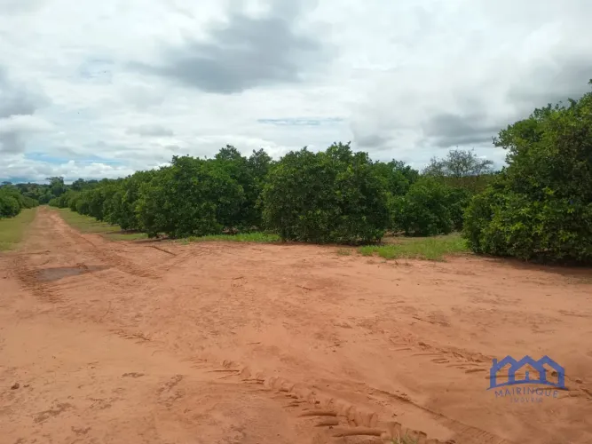 Sitio/Fazenda à Venda, 77,5 Alqueires por R$ 14.500.000 Cód. ch2703