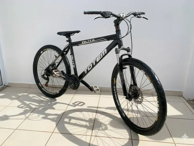 Bicicleta (FREIO DISCO & MARCHA)
