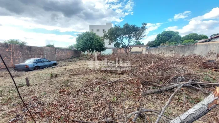 Área com 2 terrenos em uma matrícula disponível para venda 1.040 m² no bairro Presidente R