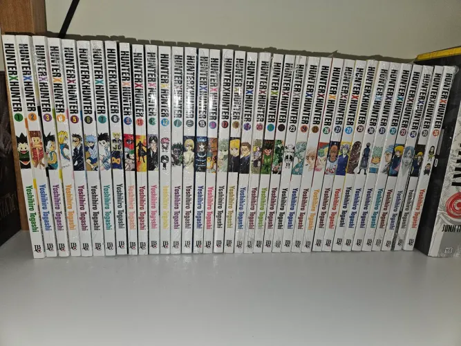 Hunter x Hunter completo