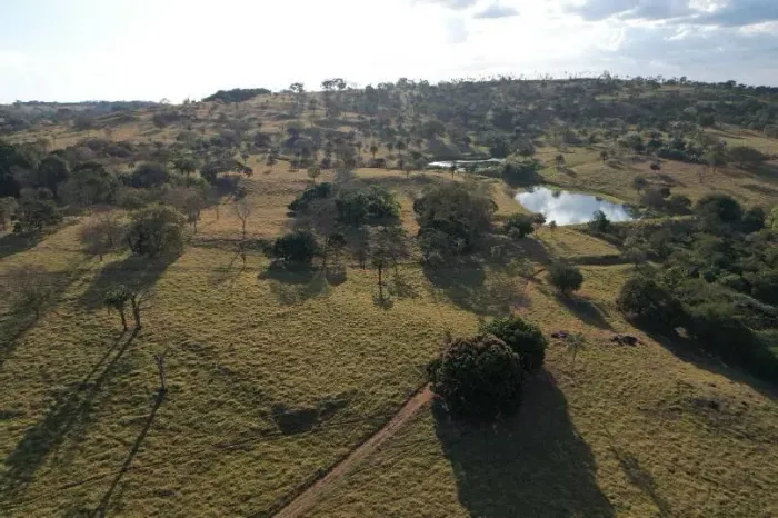 Fazenda 46.42 Hec |Gado | Trindade |GO-441 | Represa/Córrego | Doc OK