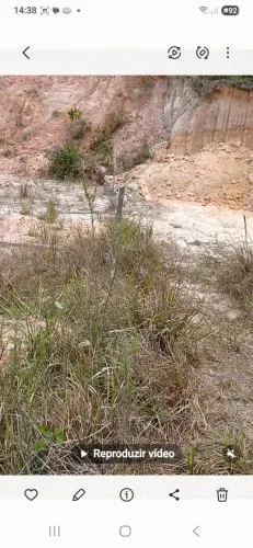 Vendo terreno na ilha de Tairu