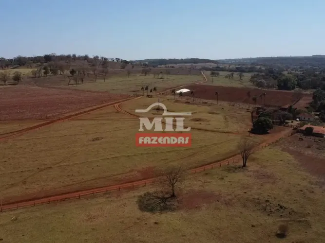 Fazenda 135 Alqueires (653 Hectares) Itumbiara - GO