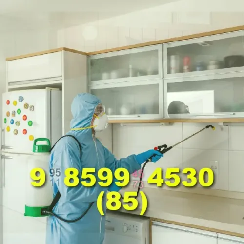 Dedetizacao em Messejana e Cocó com qualidade e segurança garantidas!
