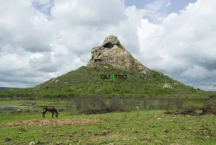 Fazenda à Venda em Aracoiaba CE 211 HEC.