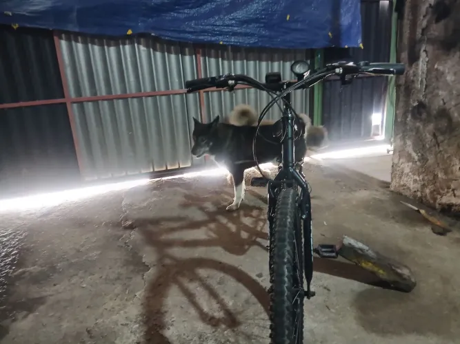bicicleta caloi preta fosca faço oferta