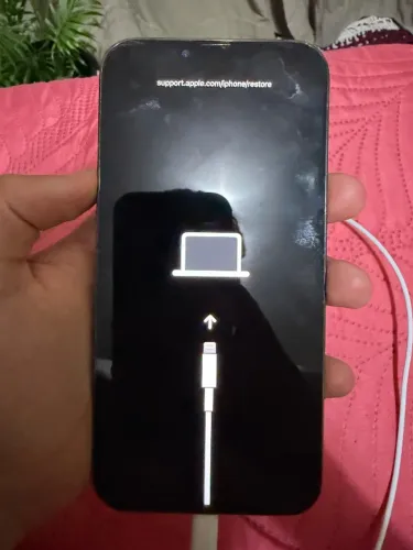 iPhone 13 Pro Max 512GB - Bom para retirada de peças - Modo recuperação