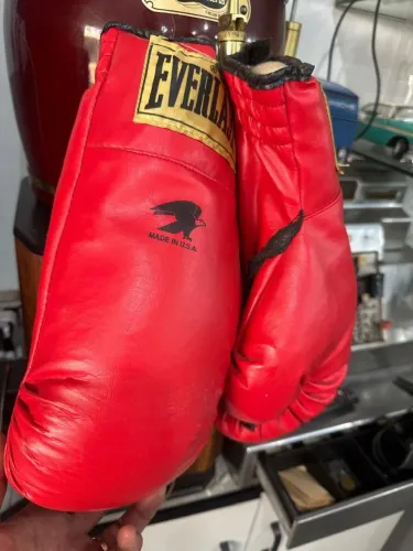 Luva Everlast