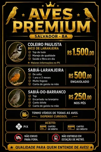 Leia com atenção. Excelentes Gaiolas de luxo disponiveis..