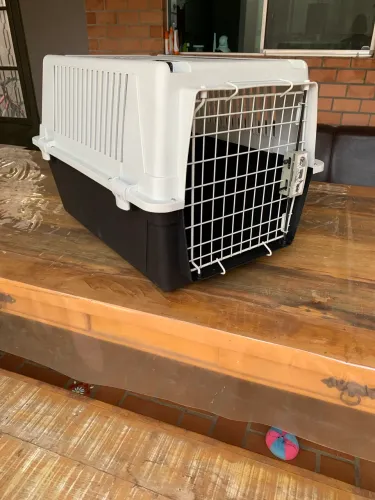 Caixa de transporte Pets Atlas 40