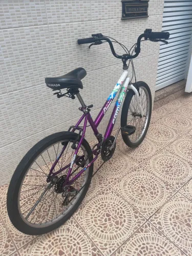 Bike aro 24