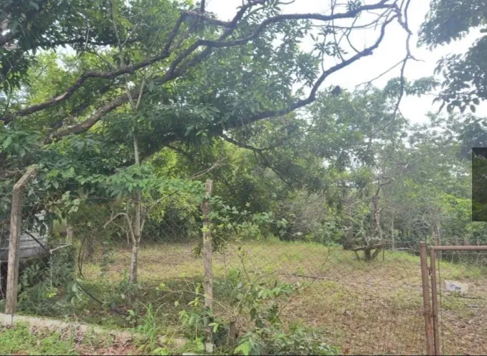 Terreno à venda, 5283 m² por R$ 265.000 - Vertente das Águas - São Pedro/SP