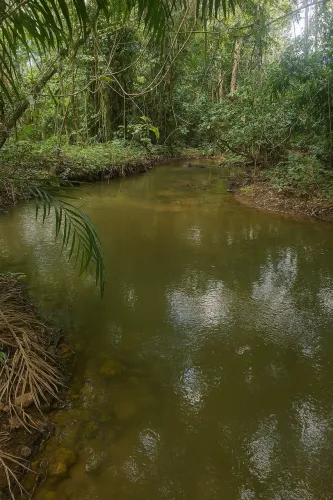 Vende se Chácara com Igarapé nos fundos 