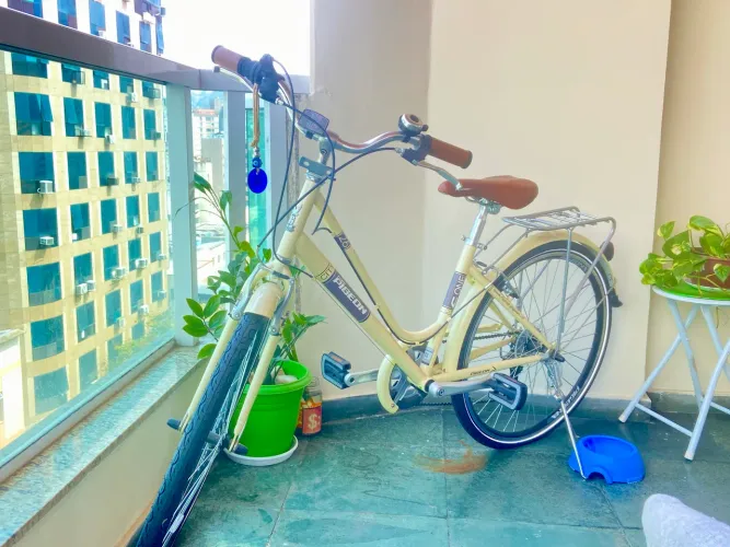 Bicicleta Pigeon One