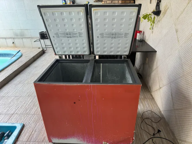 Freezer Horizontal 220v 