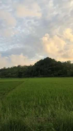 Terrenos em Araçoiaba para chalé
