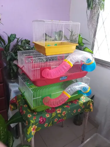 Duas gaiolas de hamster