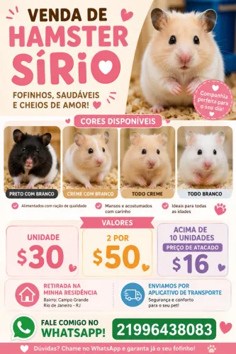 Hamster ? sírio 