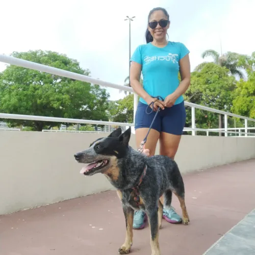 Babá de gatos, cachorros e faço faxina 